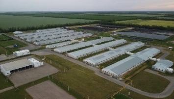 В 2025 году «Агрокомплекс» инвестировал в производства 5,8 млрд рублей